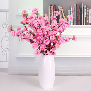 �W�t�һ�֦�ٷ��滨�һ�����������҃��b͏d�[����c��픸ɻ�