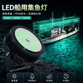 太阳能灯;草坪灯;道路照明灯