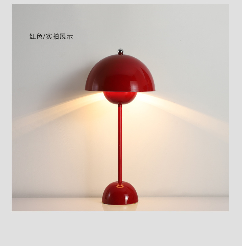 O1CN01rJ2RX22MiqqfZ9DS5_!!2214