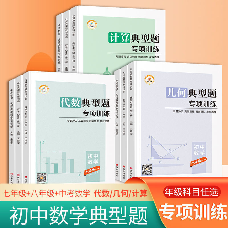 Junior high school mathematics calculation geometry algebra typical questions Special Training 9th grade first and second volume special exercise book