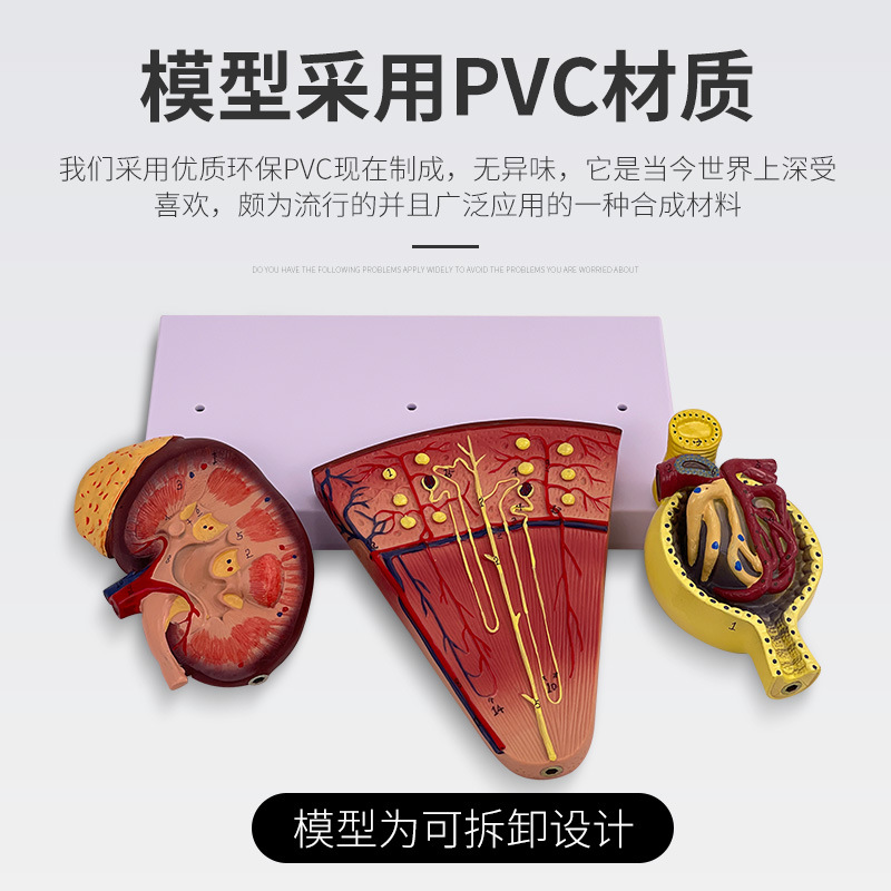 ��������λ ��С��ģ�� ������ģ�� ����ģ�� �������ģ�� ����