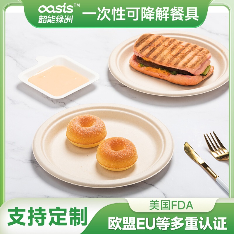 Shaolv Factory Customized Sugarcane Bagasse Bamboo Pulp 9inch Discs Environmentally Friendly Disposable Tableware Biodegradable and Compostable