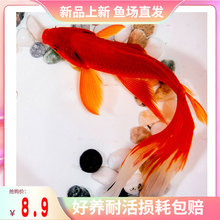 �N�Pβ��t�ݽ��~��ˮ�^�p�~���B�ͻ���ˮ��ؔ�\�����~���~�~��