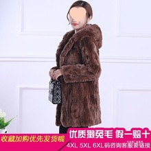 2026�����¿���H��ëƤ���������L���Bñ�L��������a�n�����Ů