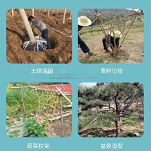 果树拉枝绳捆扎绳捆草绳彩色布条布带花布带园林包土球布条绳打包