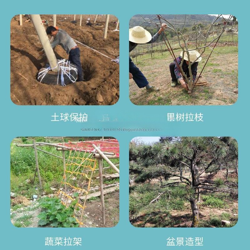 果树拉枝绳捆扎绳捆草绳彩色布条布带花布带园林包土球布条绳打包