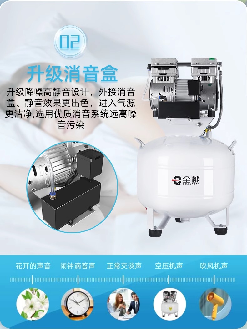 Ruiyan Dental Special Oil-free Silent 220V Medical Clinic Atomization Air Compressor Laboratory