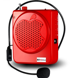Jinzheng Little Bee Amplifier Teacher's Special Wireless Headset Lecture Tour Guide Class Treasure Waist Hanging Portable Microphone