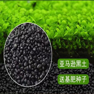 Fish Tank Aquatic Plant Seeds Micro Landscape Aquatic Plant Mud Creative Desktop Potted Hydroponic Plant Glass Bottle Water Landscaping Pair of Leaves