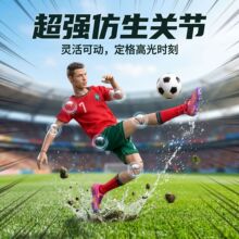 2026���籭30CM�����������k��ż�Ʉӿɔ[���P�����������ղؔ[��