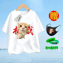 ����ȭ�^С؈�����������t��Ů�l�o���z�^�l�o��ȭ�^ɳ��W���bR