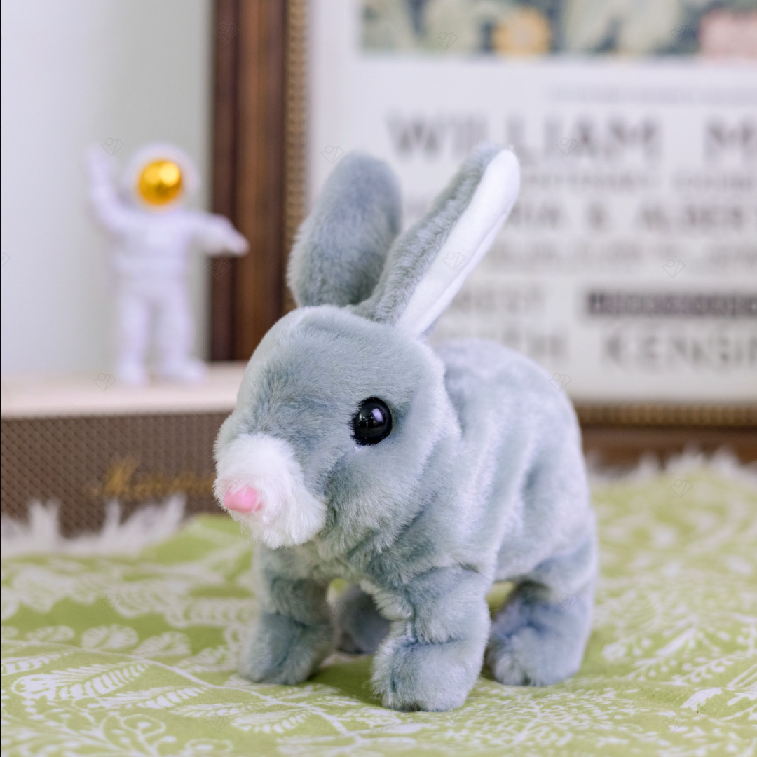 Gray rabbit