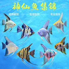 �����~���~�������~������ɫ�Ꭷ�^�p�~С�͵�ˮ���B�߲������~��