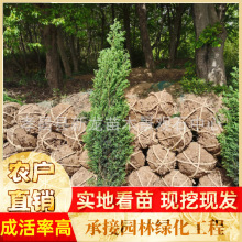 �ɰ������ɰؘ����Ĺ���������ɾG�������ؘ���u�،����ɘ���