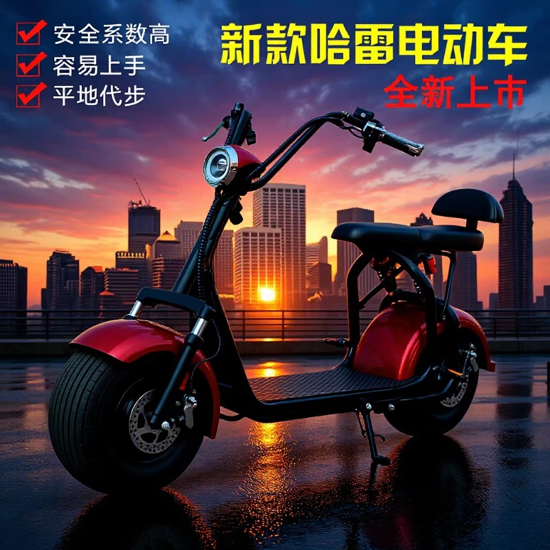 Scooter eléctrico estilo Harley para dos personas, amortiguación delantera y trasera, para ciudad, fabricante con opciones personalizables