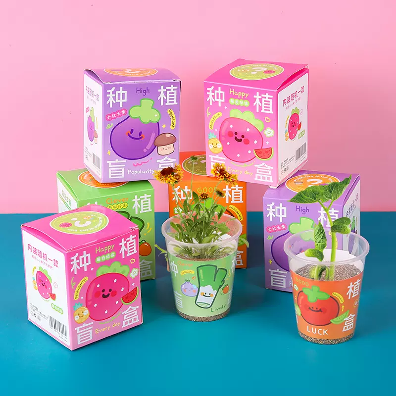 儿童植物盆栽种植盲盒小盆栽幼儿园观察植物小学生种子迷你批发