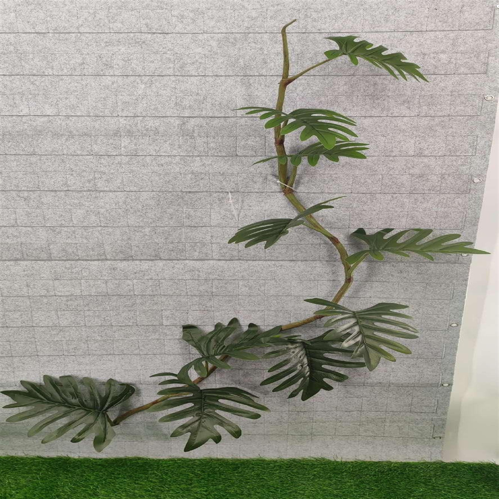 微信图片_20241231113645