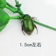 other product image