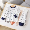 Set-little pumpkin