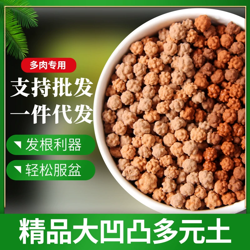 Оптовая доставка с фабрики Многоэлементный почвенный сочный почвенный смешивание посадочный магазин специальный вогнуто-выпуклый динамический почвенный дышащий корневой бутик