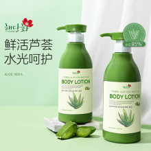 �n���M����ӡ�J�Cˮ�����w��500mL�̝����Ａ�w���l���Ї�������