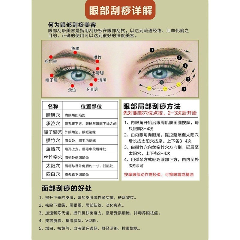 Acupoint Chart Body Meridian Map A5 Face Head Massage Reference Poster for Adults specifications