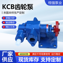 定制KCB齿轮泵不锈钢齿轮式输油泵润滑油泵机械油食用油用泵