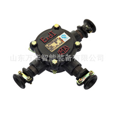 BHD2-200/1140(660)-3GVø͵͉|Ӿ |Ӿ