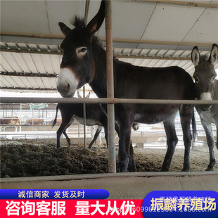 �������H�������������H������H�x�r��һ�^�H��r��