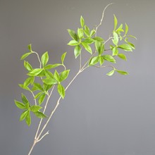 3Dӡlؔ~ ҾӲb[d~zӰ߲廨쾰l