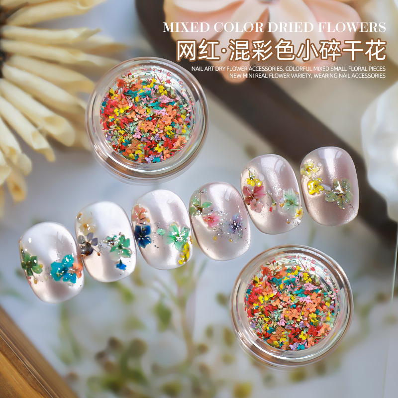 Red de Internet estilo caliente arte de uñas color mixto flores pequeñas flores secas primavera pintura al óleo a juego mini flores reales desgaste uñas adornos de uñas