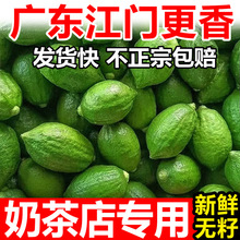 广东江门香水柠檬商用一级二级奶茶店专用手打柠檬茶新鲜无籽批发