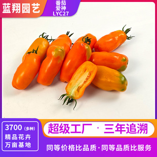 �ļ�����Ʒ�N���ѐ������t���N�� ���ҷ������ԷN���ļ����N