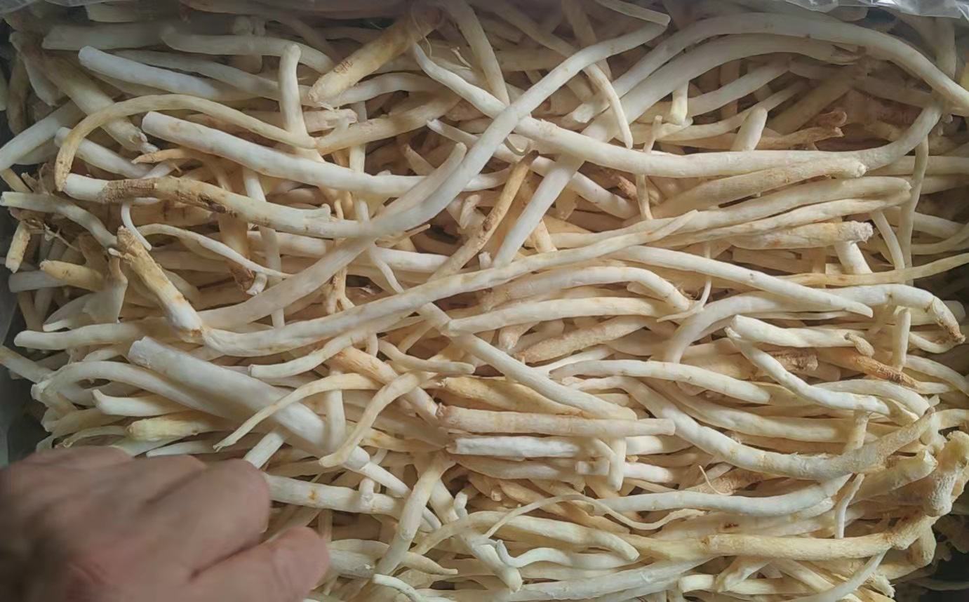 微信圖片_20210929231724