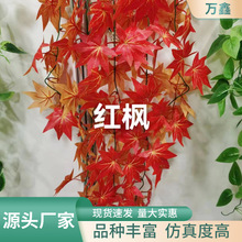 ���l��c�bƵ겼�÷��滨�t���G���t�}���}�������K�����ٗl