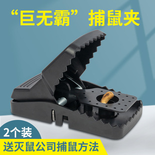 ����A�ӏ�����׽��ץ�\�ӳ���������������Ч���ǜ������һ�C��