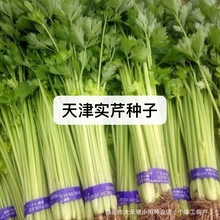 ۷NwSζļrҴ＾۲˷N