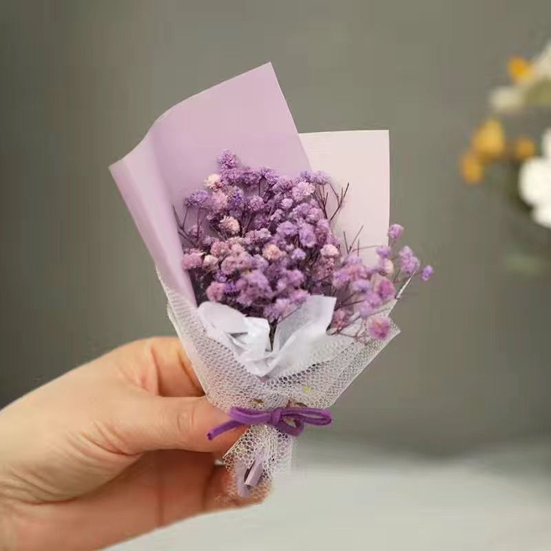 퍼플 스타 미니