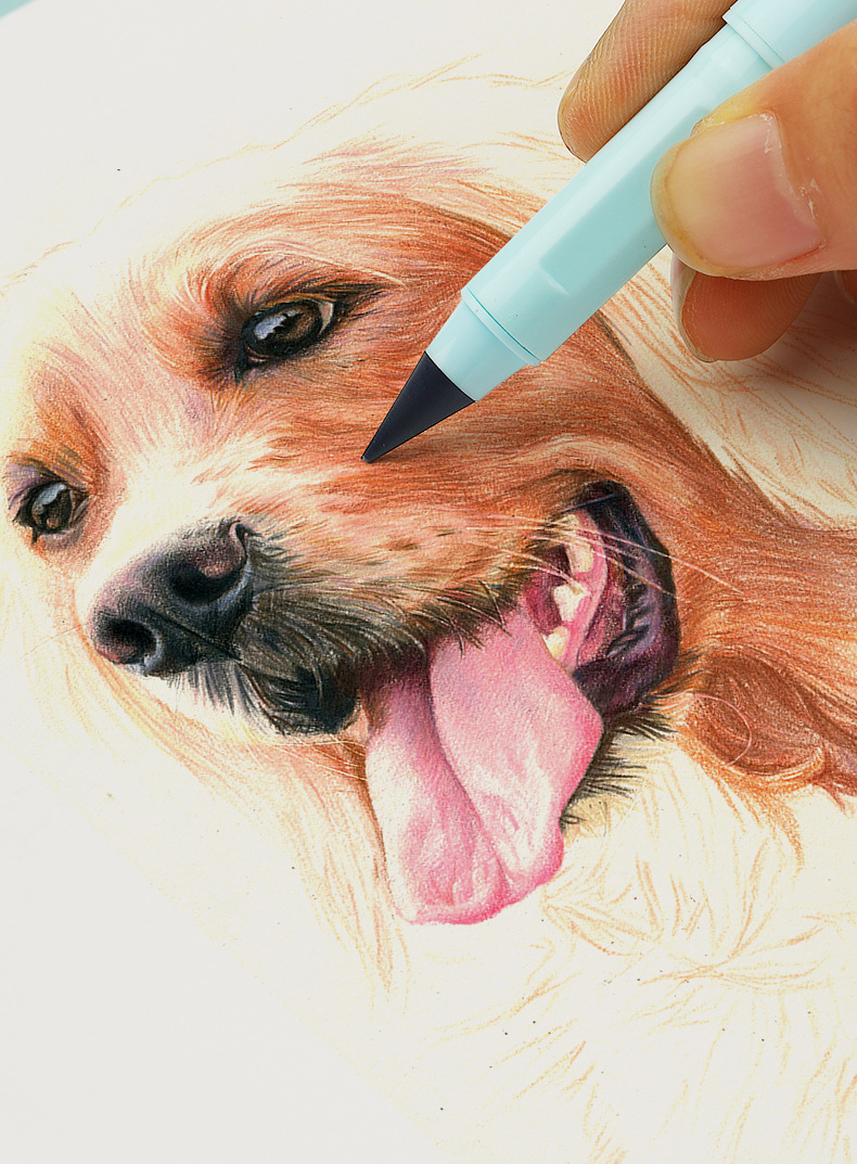 跨境彩色永恒铅笔12色可擦正姿彩铅儿童彩色笔不用削学生绘画铅笔详情9