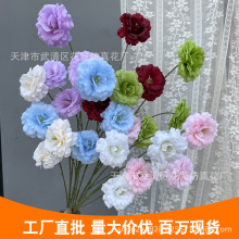 4�^�۹������cƽ�r���Ļ�Y�b����쾰ӆ���� �鷿 �Ɍ�����