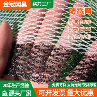 防雹网 大棚菜园果园抗老化防冰雹网防鸟网菱形三角形防雹网