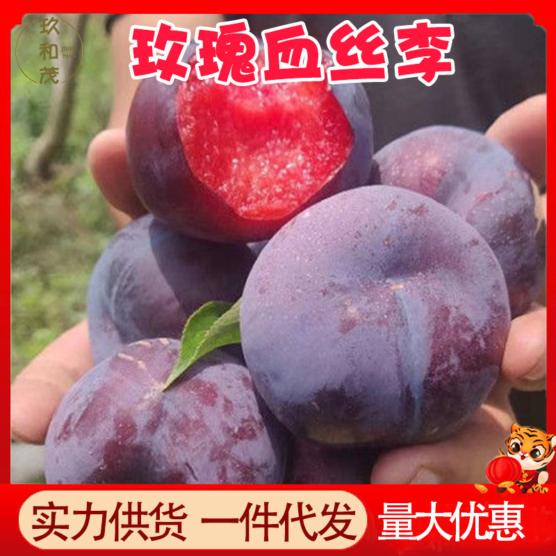 Authentic Rose Plums, Blood Plum, Popular Variety 2.5kg Fresh Seasonal Fruit for Pregnant Women, Wholesale with Free Shipping 1.5kg Fujian Plums