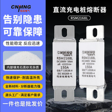 DC1000Vֱ����늘��۔�������Դ��܇�۔���RSM2168L��RSZ307)100A