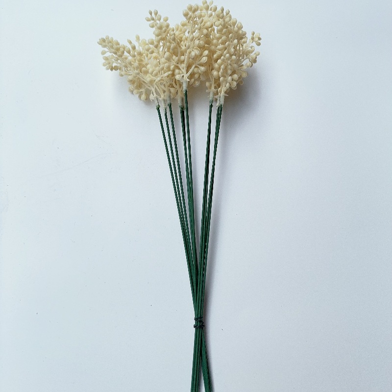 단일 유칼립투스 열매