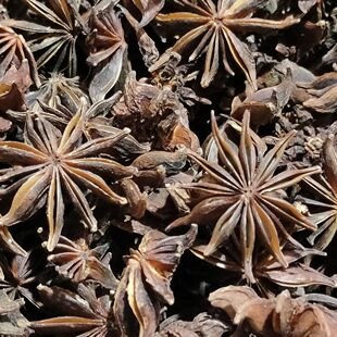 ��ƷҰ�˽� ���~�˽�ɽ�˽�ʮ�� ���~�˽�ç�� �����ϲ���ʳ��