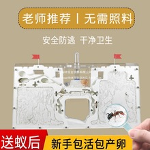 Λρ�Ǳ�������Λρ����ρ��W���^�췱ֳ��ρ���C����