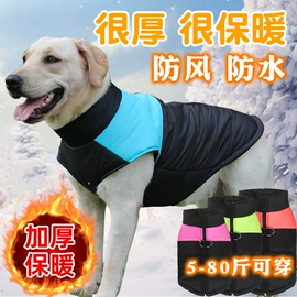 狗狗牵引;宠物项圈;猫猫玩具