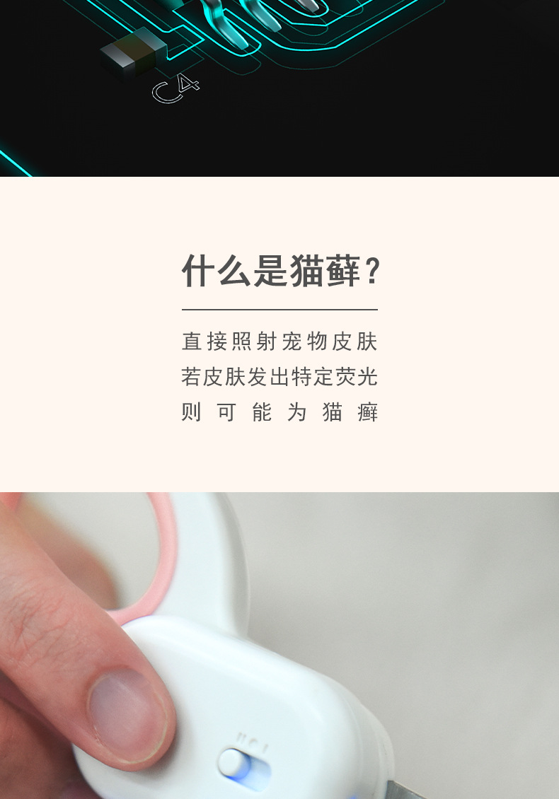 带灯猫剪 (6).jpg