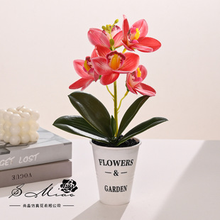 Fake Flower 3D Printing Film Feels Huilan Bonsai Artificial Flower Fashion Creative Ornaments Artificial Plant Artificial Potted Plant