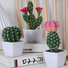 ������������������������ �Ꭷ�پGֲ ɳĮ�쾰ֲ��������[��